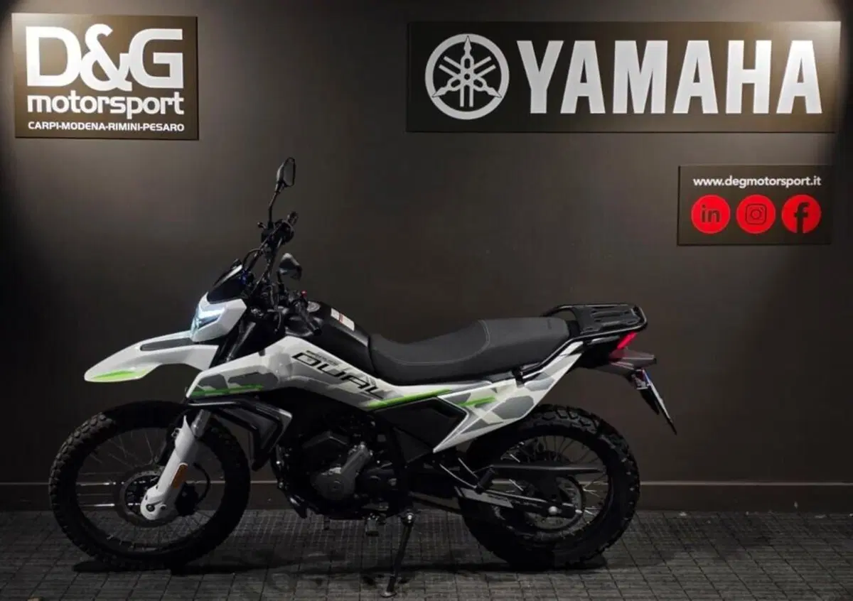 CFMOTO 300CL-X Heritage (2023 - 26) (4)