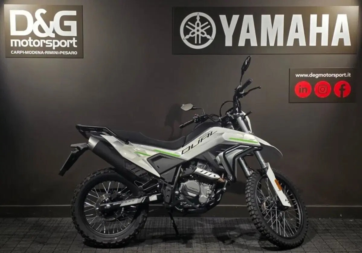 CFMOTO 300CL-X Heritage (2023 - 26) (5)