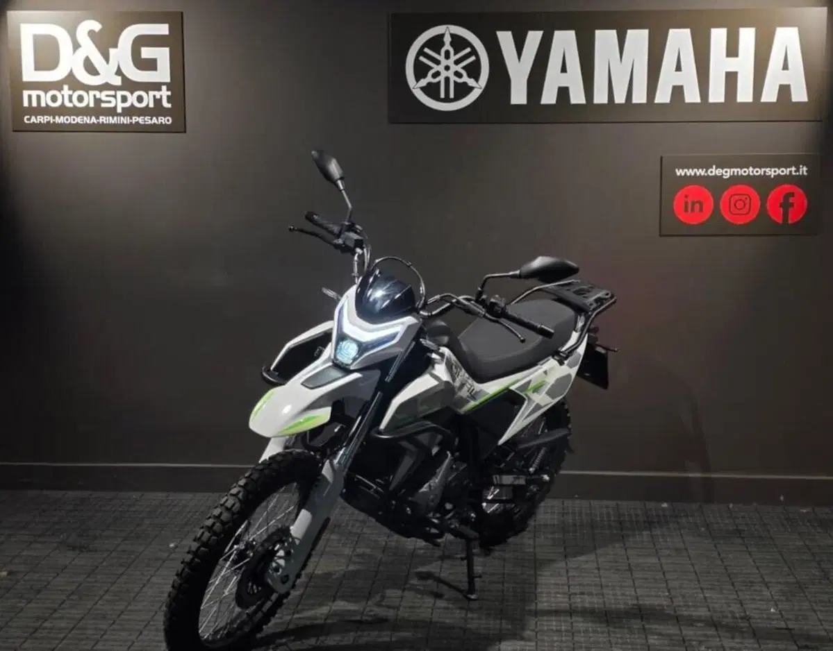CFMOTO 300CL-X Heritage (2023 - 26) (3)