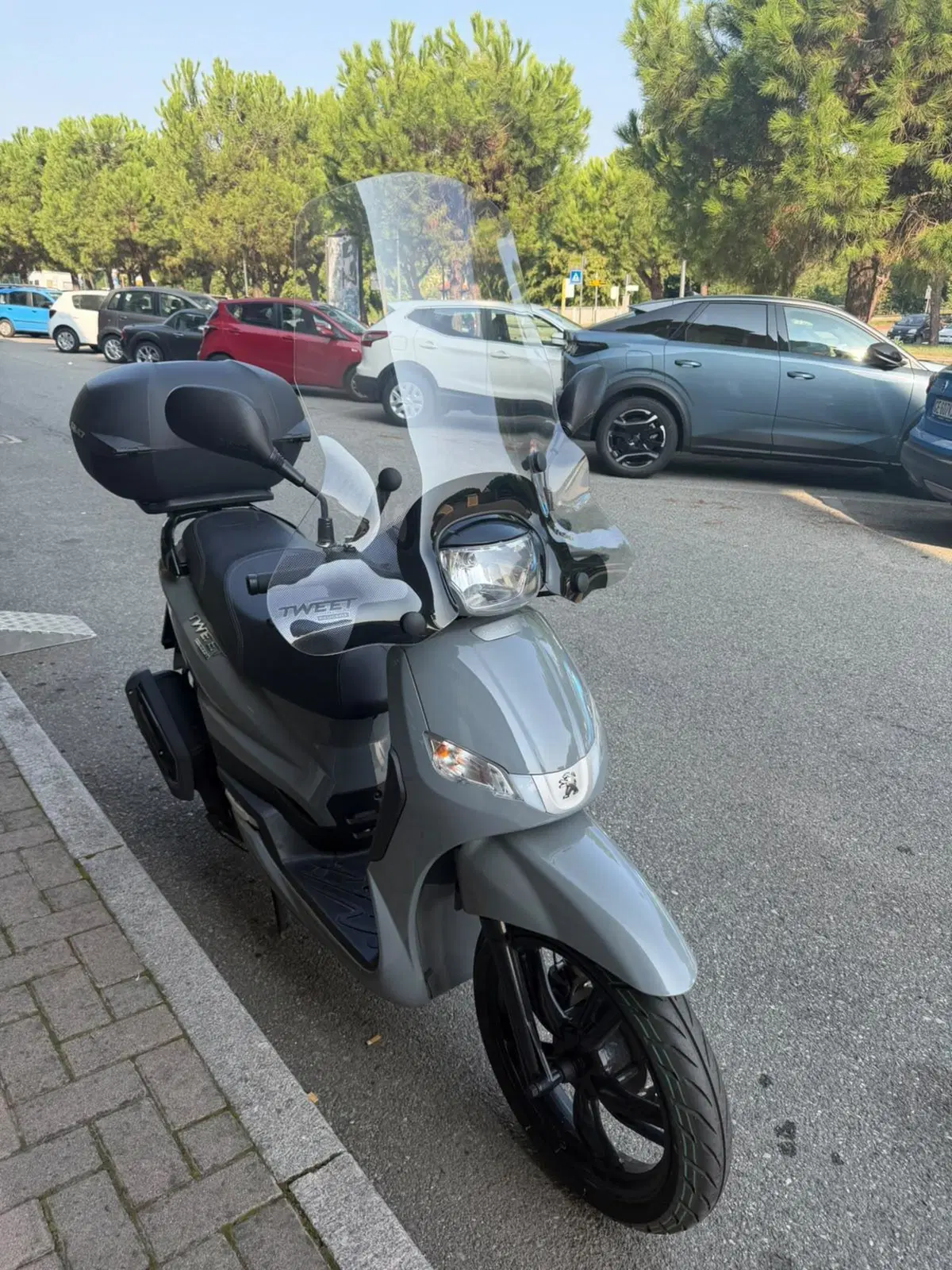 Peugeot Tweet 200 FL GT (2023 - 24) (9)