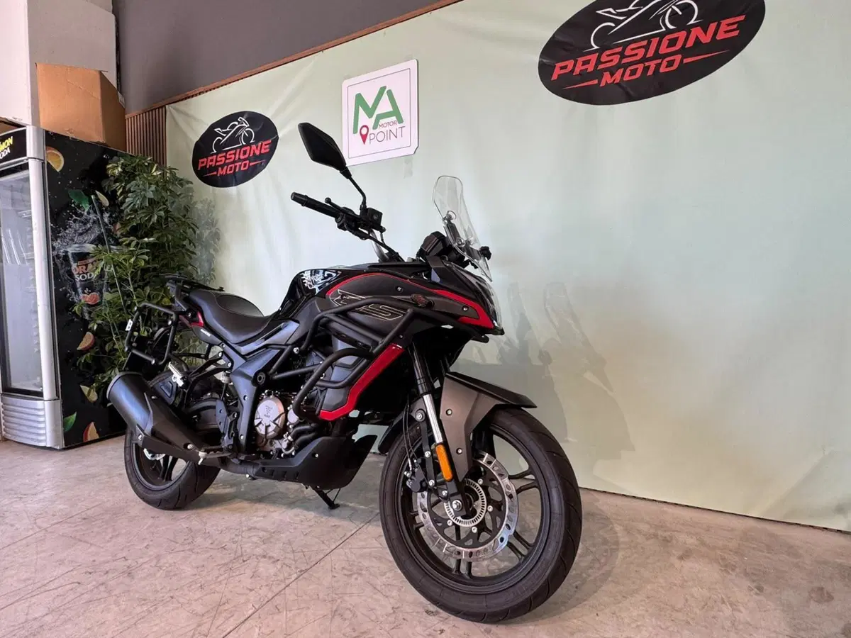 Voge Valico 300DS (2021 - 24) (3)
