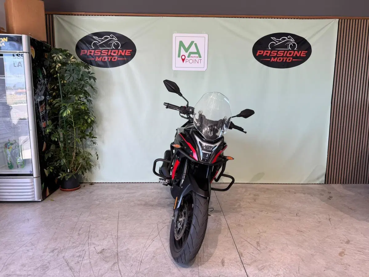 Voge Valico 300DS (2021 - 24) (5)