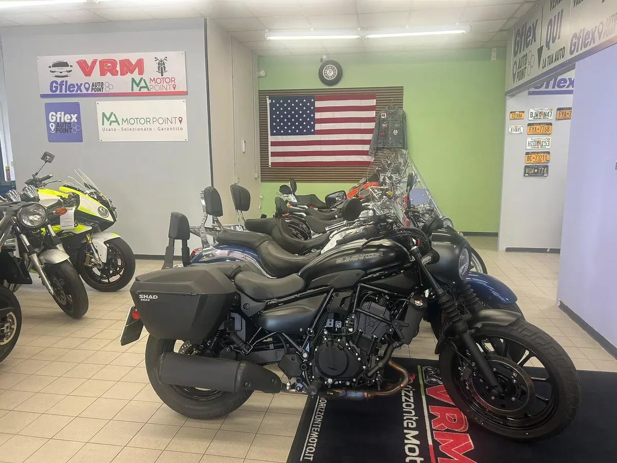 Kawasaki Eliminator 500 SE (2024 - 26) (2)