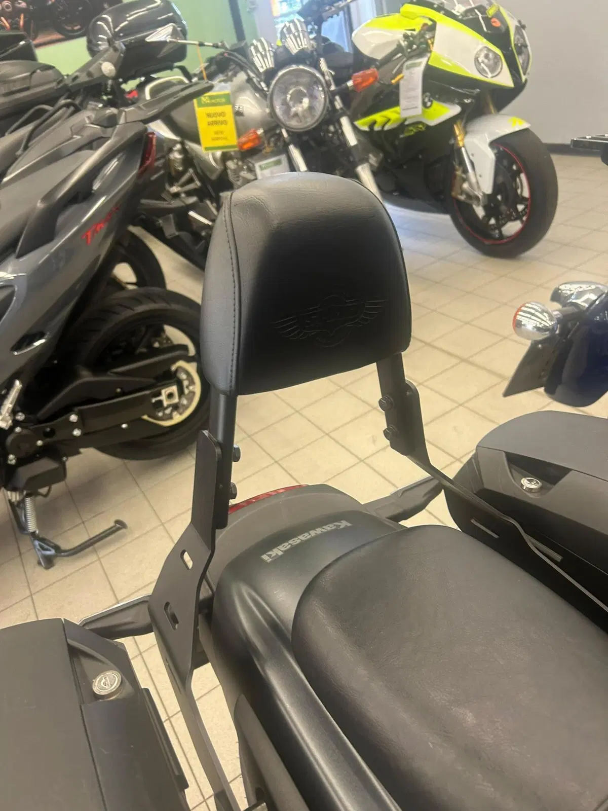 Kawasaki Eliminator 500 SE (2024 - 26) (6)