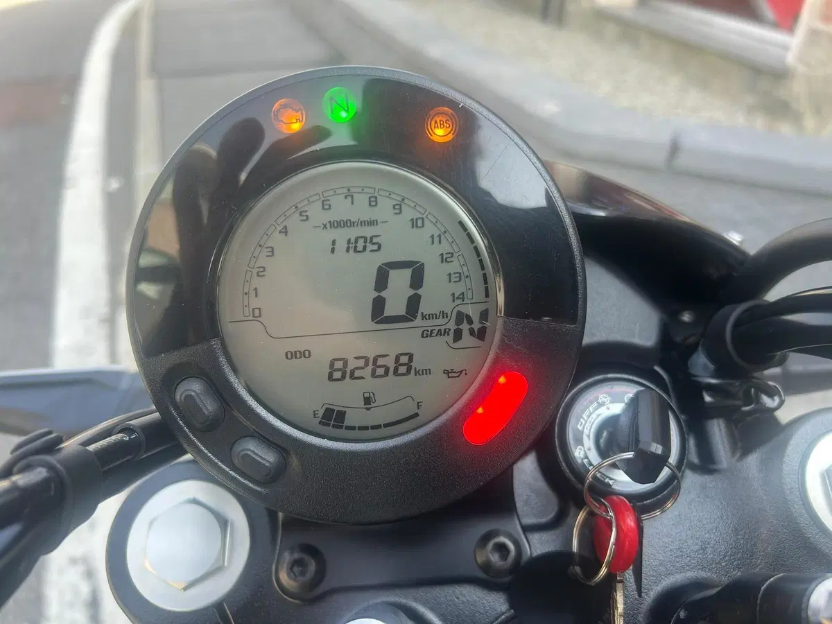 Kawasaki Eliminator 500 SE (2024 - 26) (7)