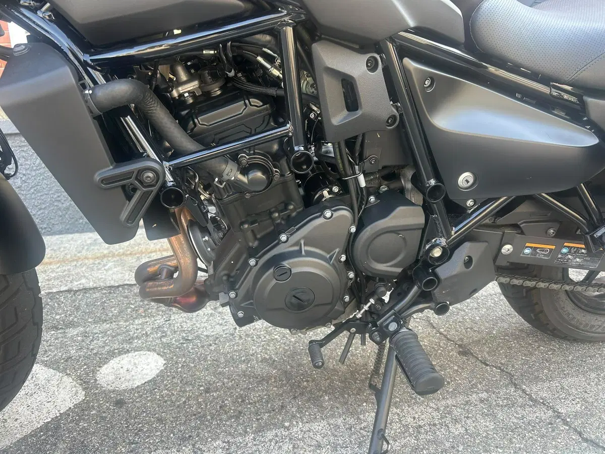 Kawasaki Eliminator 500 SE (2024 - 26) (12)