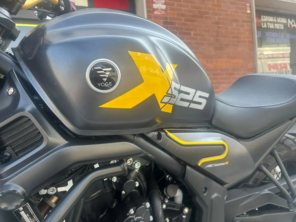 Voge Trofeo 525ACX Scrambler (2023 - 26) (3)
