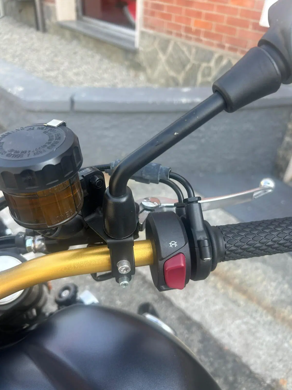 Voge Trofeo 525ACX Scrambler (2023 - 26) (4)