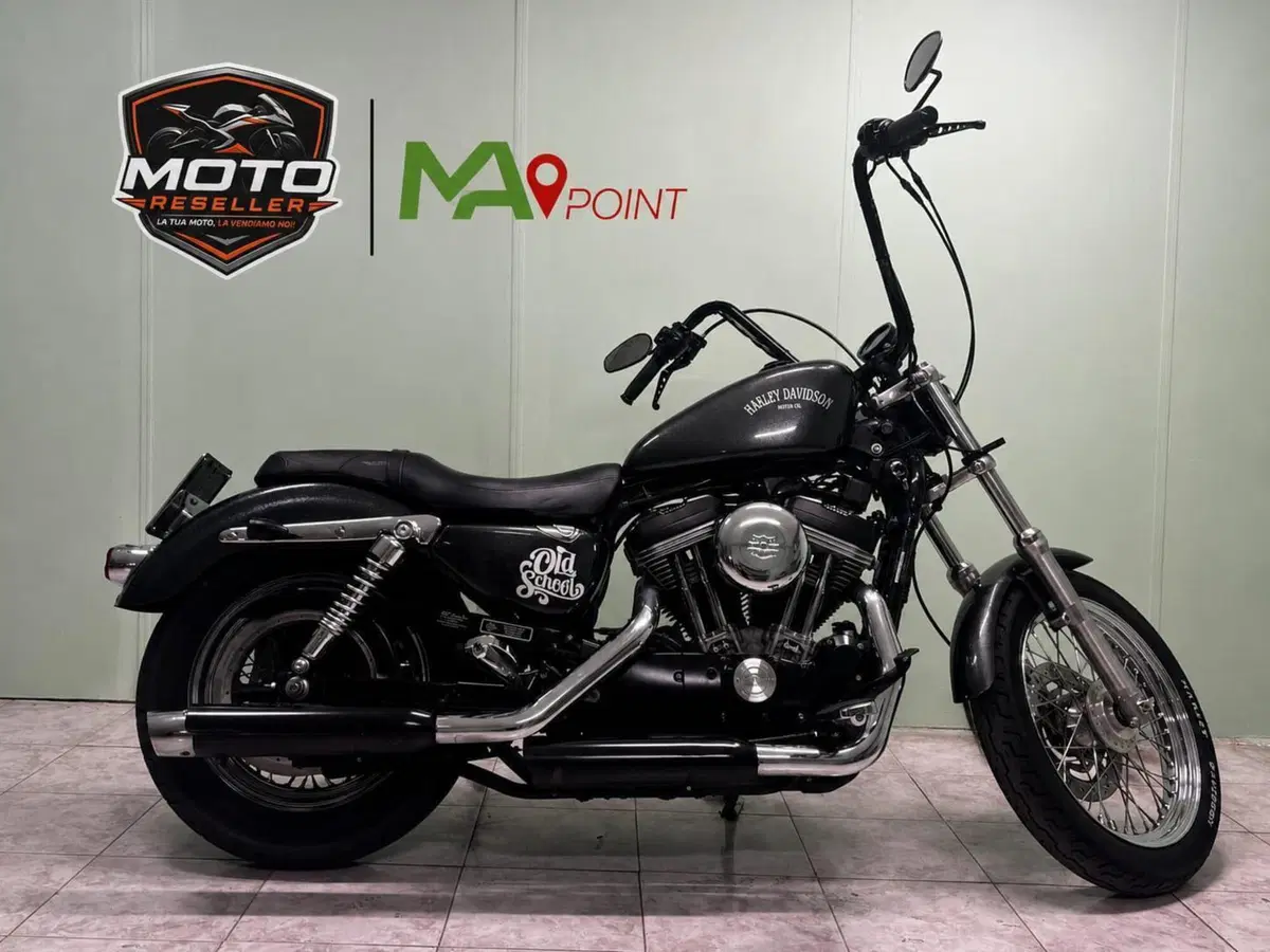 Harley-Davidson 883 Low (2005) - XL 883L