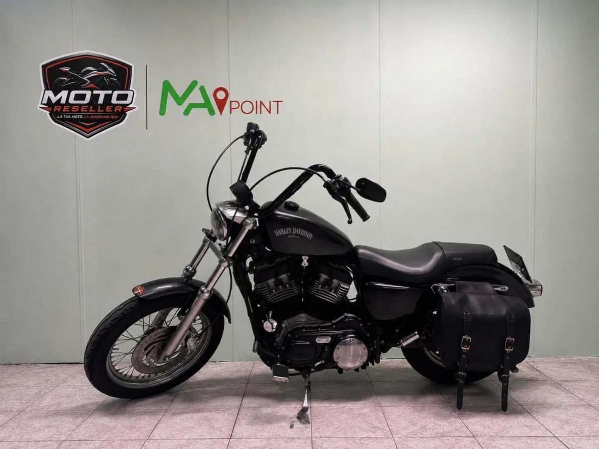 Harley-Davidson 883 Low (2005) - XL 883L (2)