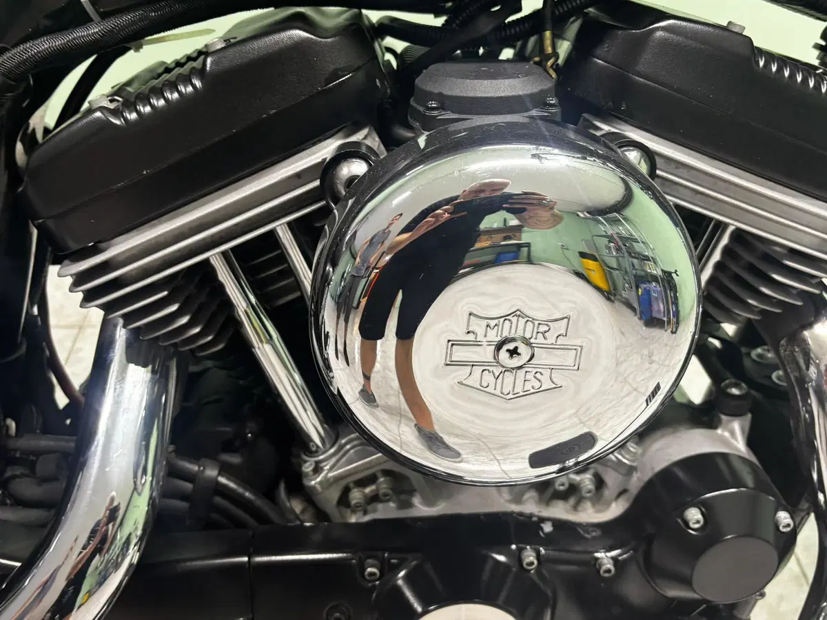 Harley-Davidson 883 Low (2005) - XL 883L (5)