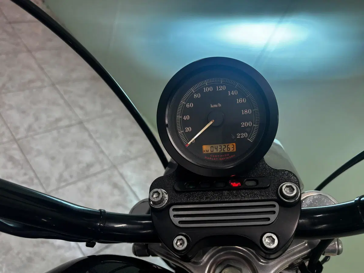 Harley-Davidson 883 Low (2005) - XL 883L (7)