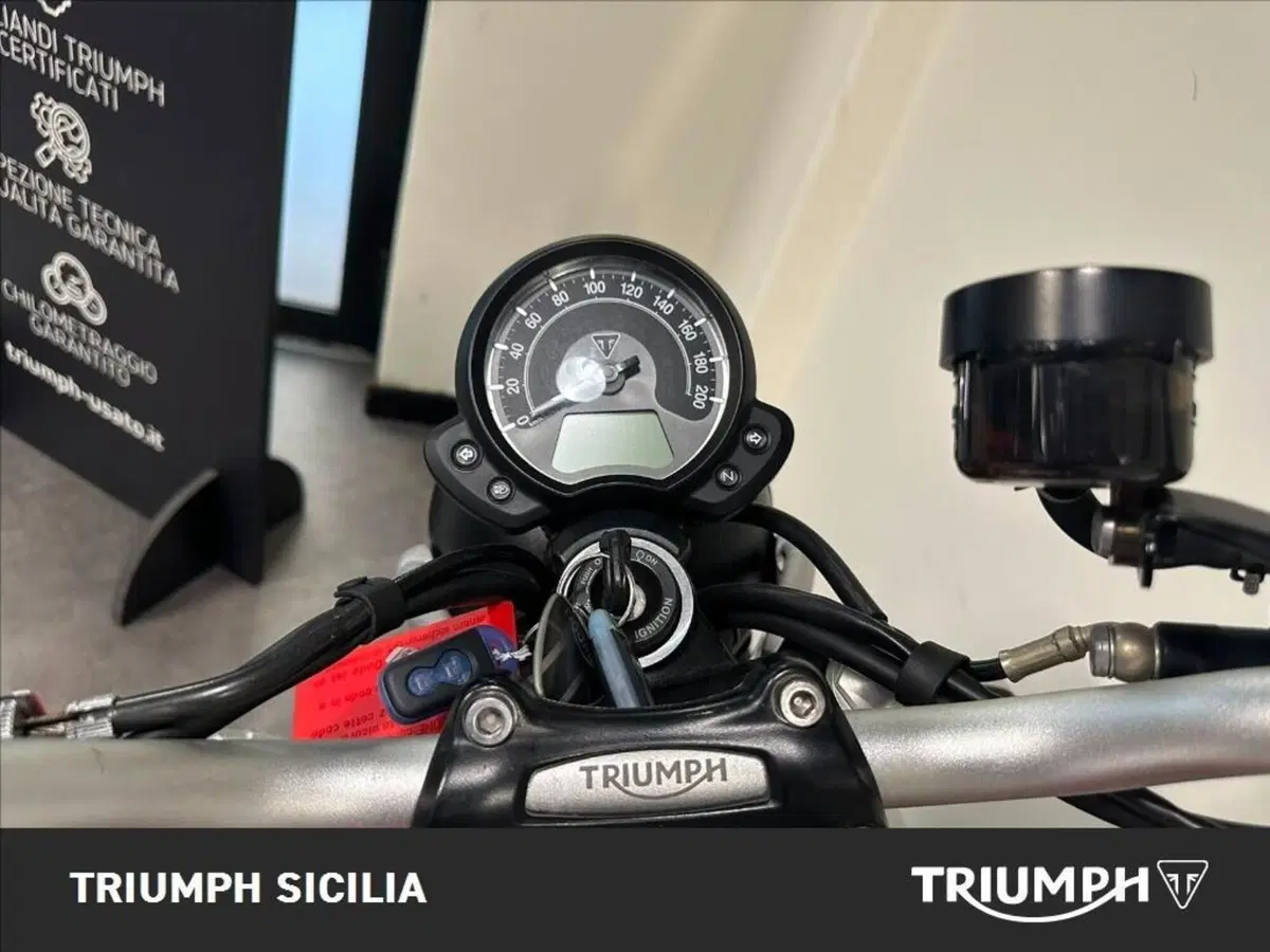 Triumph Street Scrambler 900 (2017 - 18) (14)