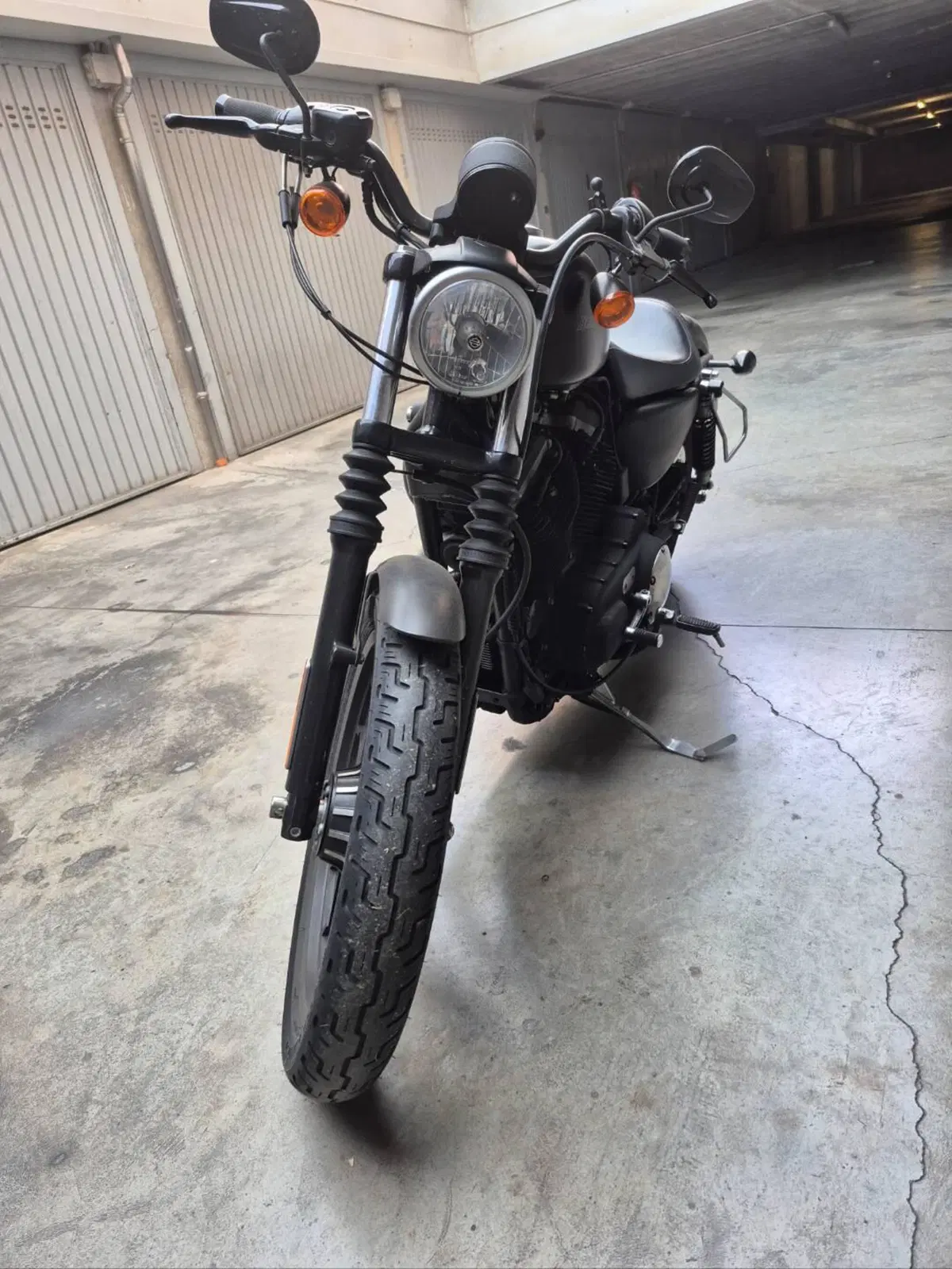 Harley-Davidson 883 Iron (2009 - 11) - XL 883N (6)