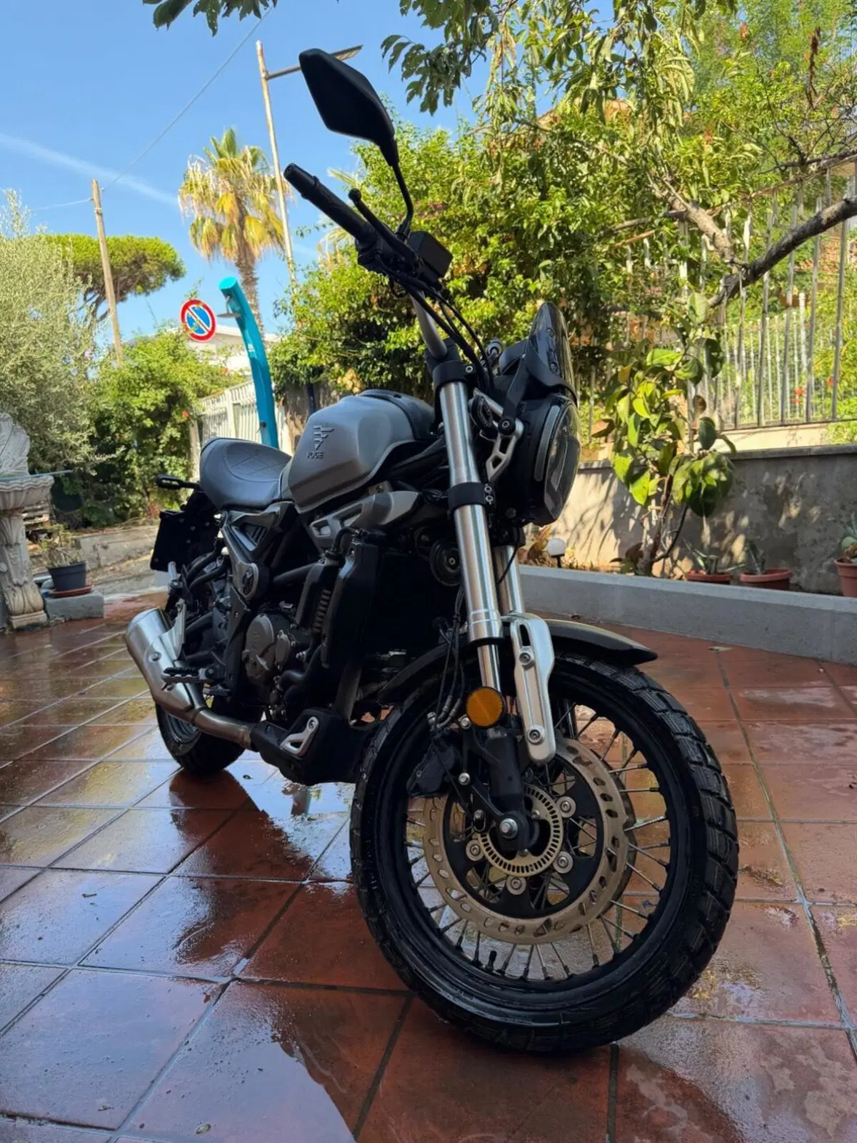 Voge Trofeo 300ACX Scrambler (2021 - 26) (3)
