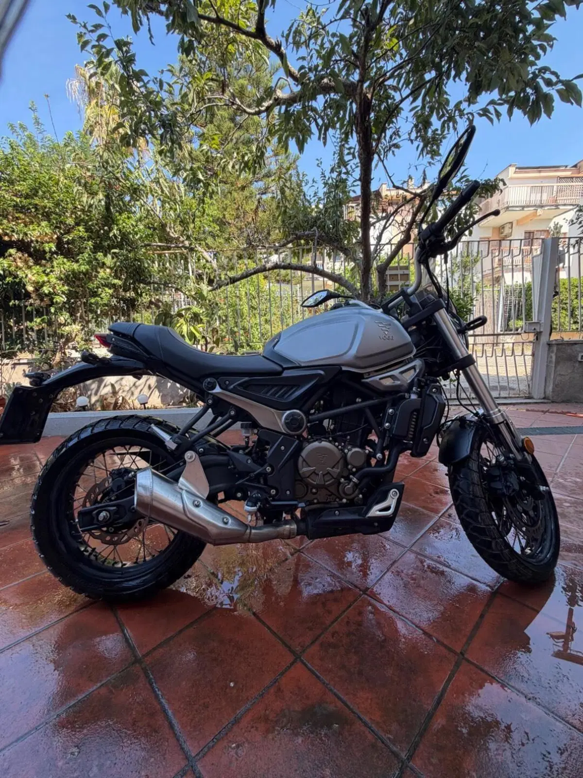 Voge Trofeo 300ACX Scrambler (2021 - 26) (4)