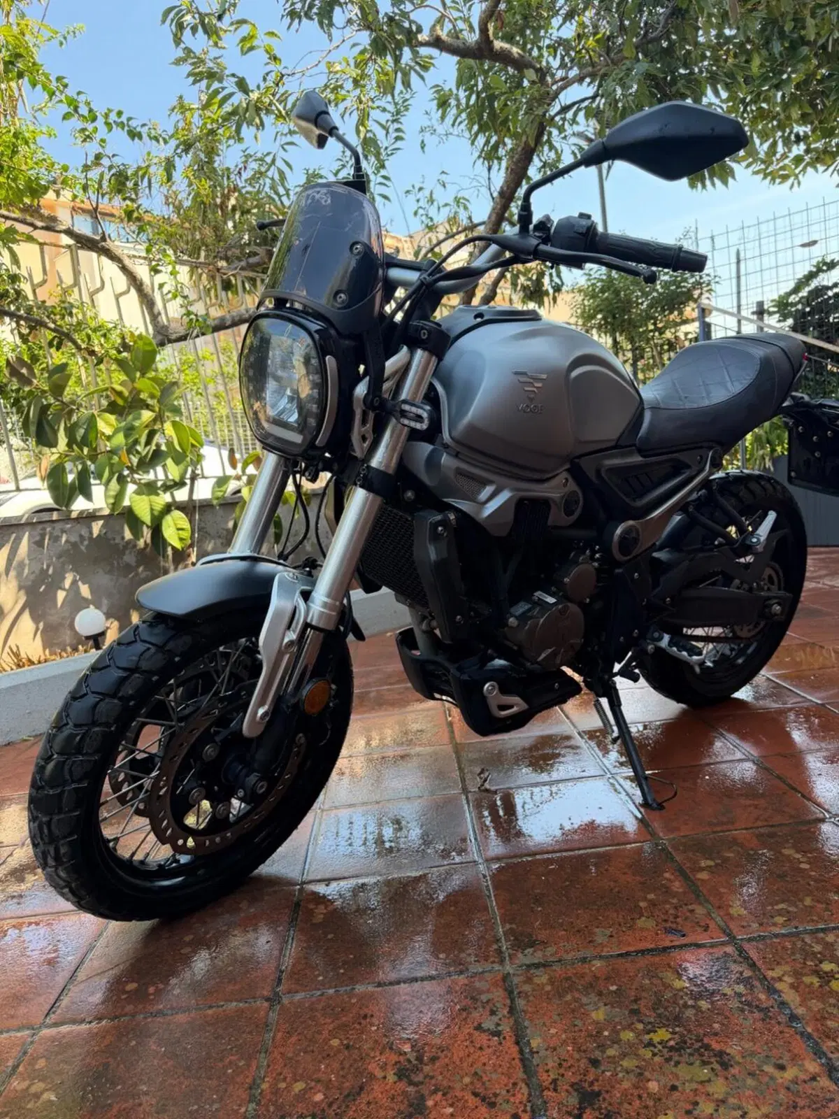 Voge Trofeo 300ACX Scrambler (2021 - 26) (5)