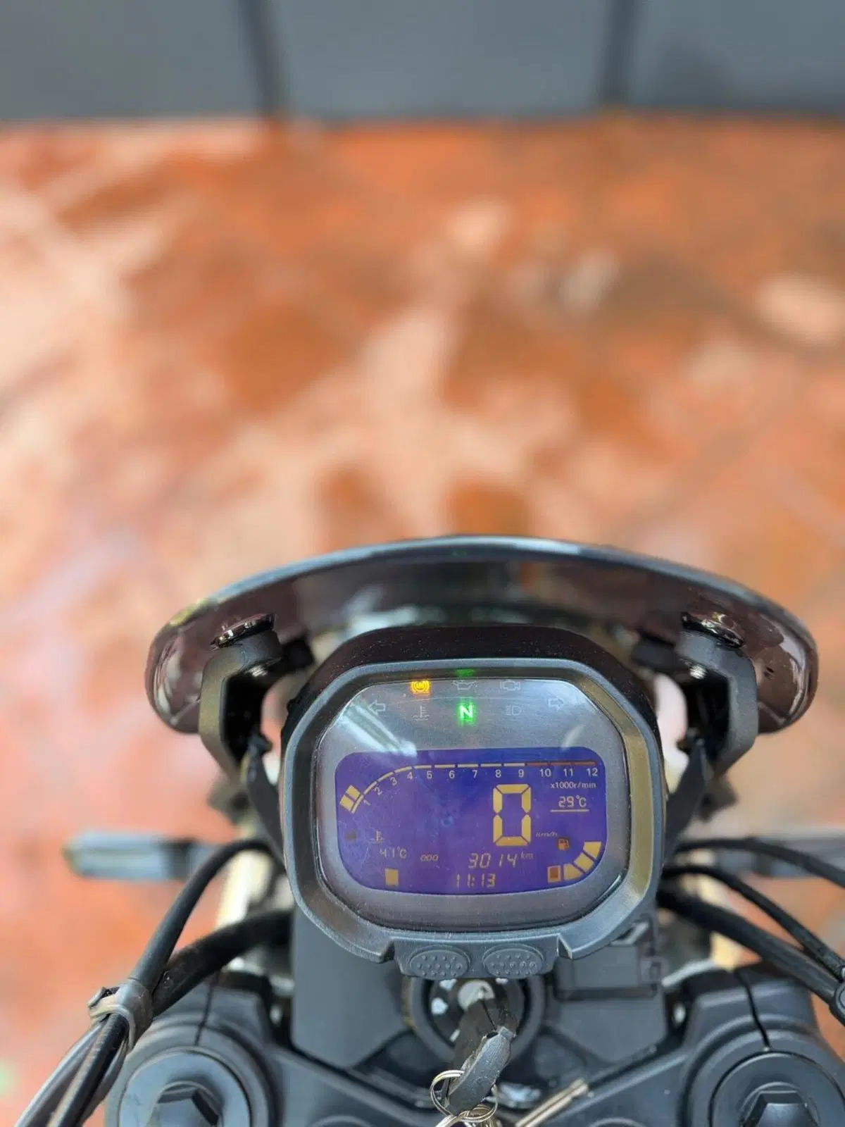 Voge Trofeo 300ACX Scrambler (2021 - 26) (6)