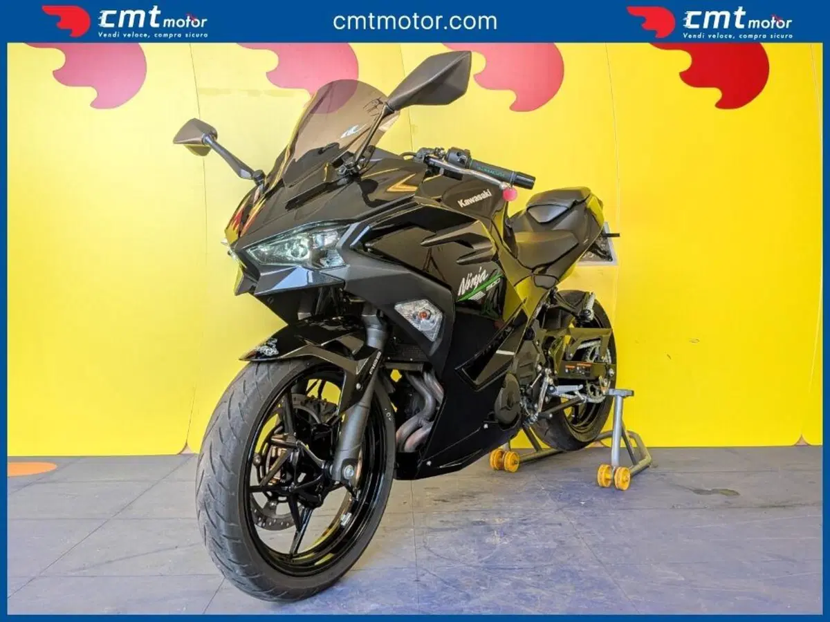 Kawasaki Ninja 500 (2024 - 26) (2)