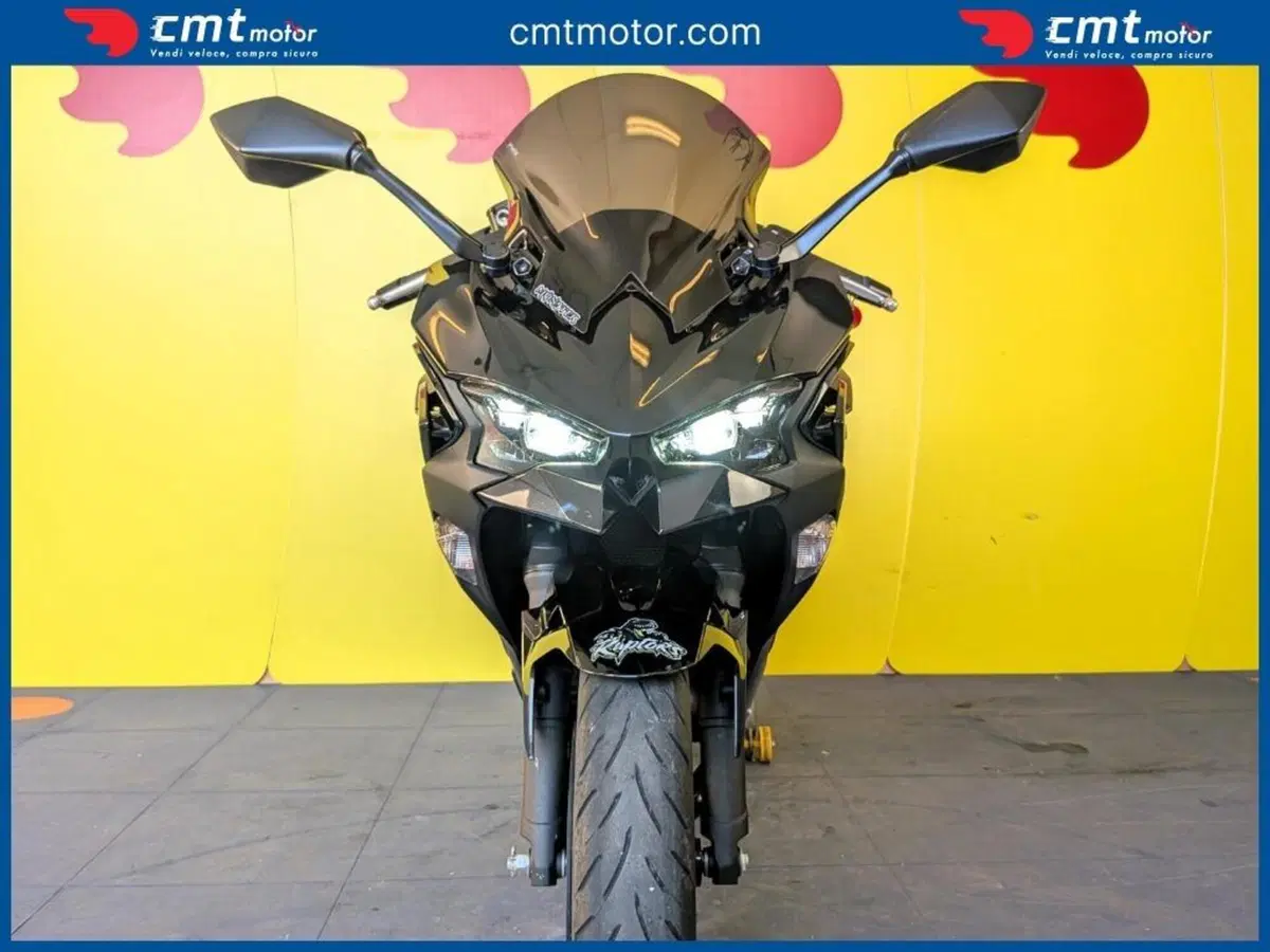 Kawasaki Ninja 500 (2024 - 26) (6)