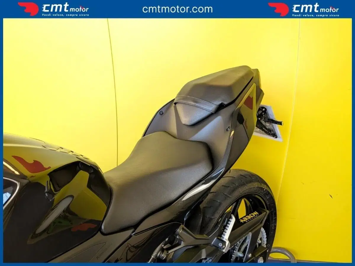 Kawasaki Ninja 500 (2024 - 26) (9)