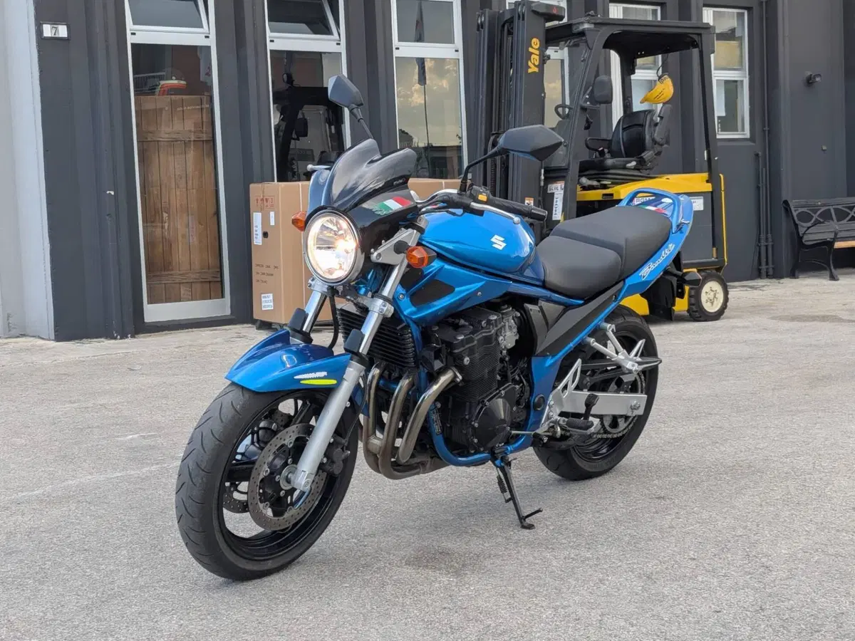 Suzuki GSF 650 Bandit (2006 - 11) (3)