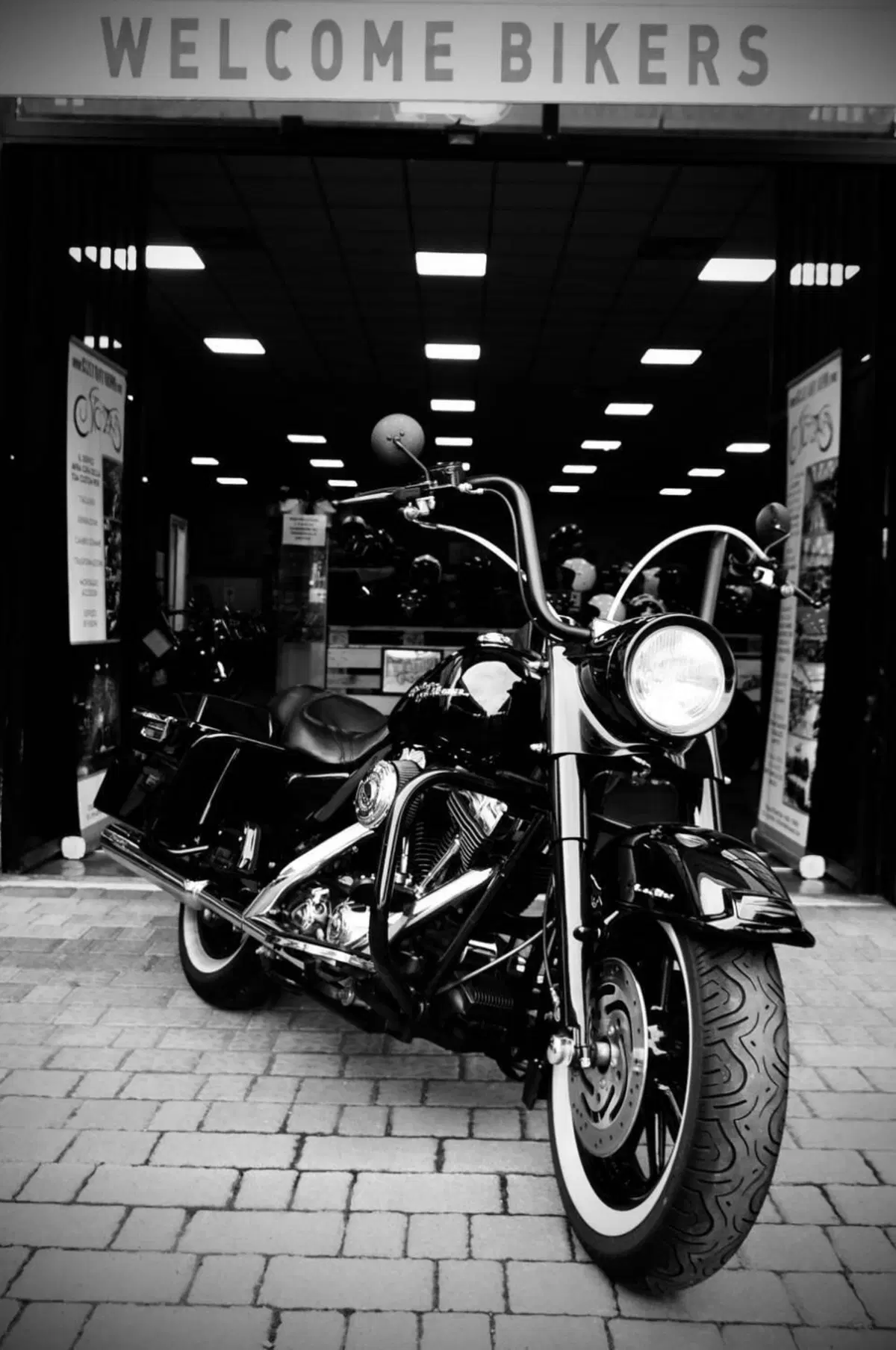 Harley-Davidson 1450 Road King (2002 - 04) - FLHRI