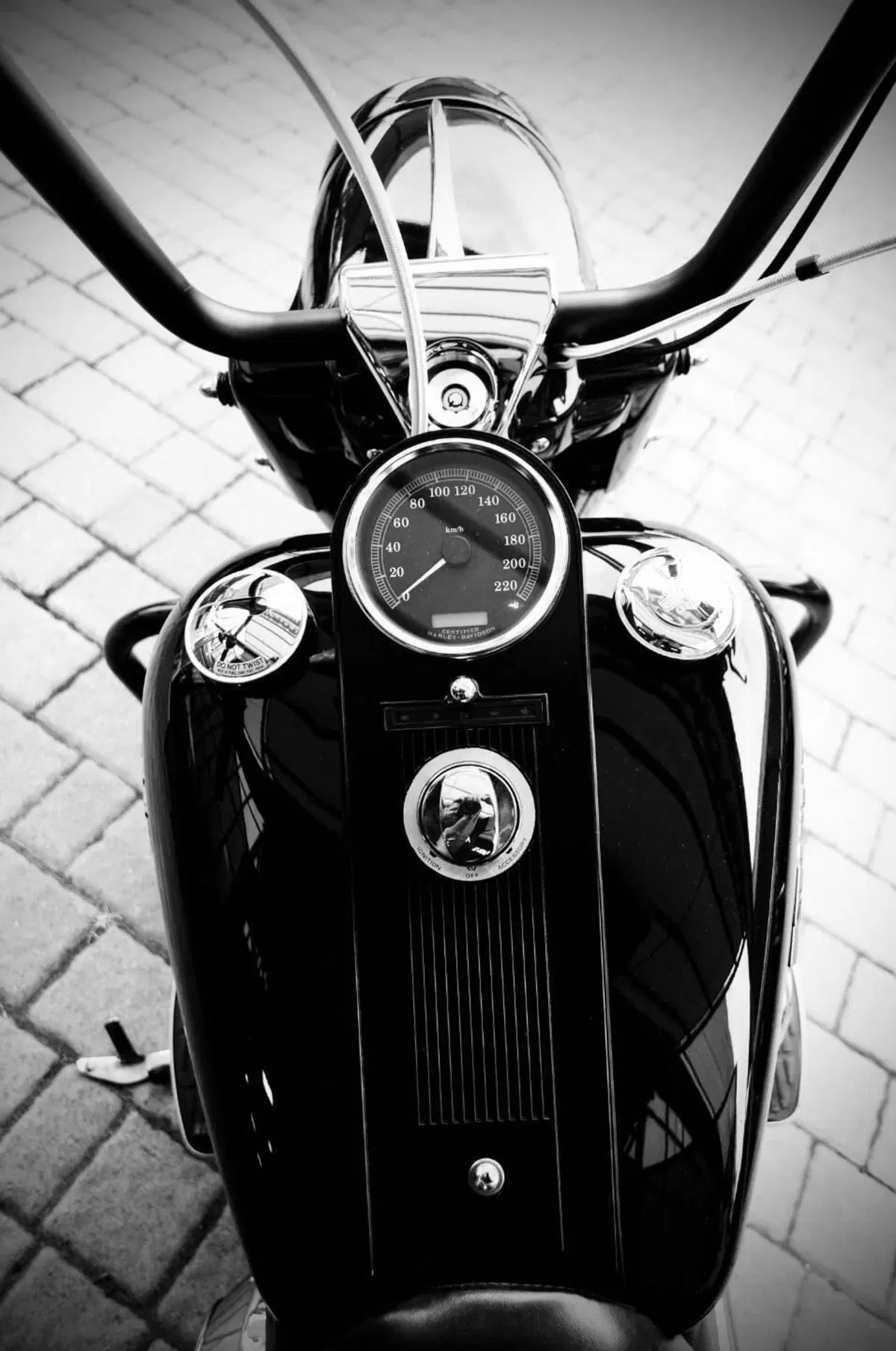 Harley-Davidson 1450 Road King (2002 - 04) - FLHRI (14)