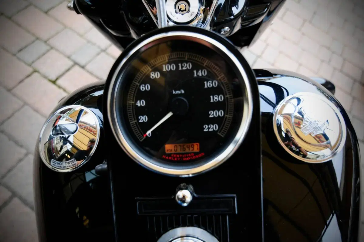 Harley-Davidson 1450 Road King (2002 - 04) - FLHRI (15)