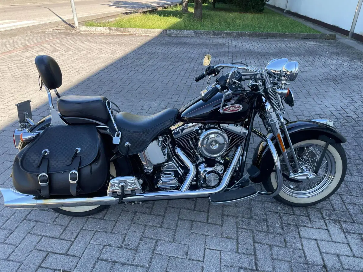 Harley-Davidson 1450 Heritage Springer (2000 - 03) - FLSTS (7)