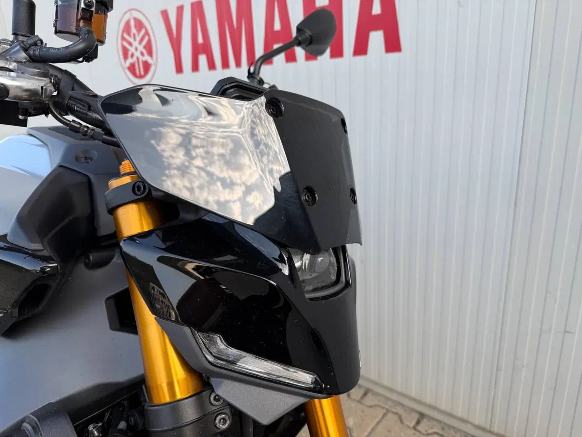 Yamaha MT-09 SP (2024 - 26) (8)