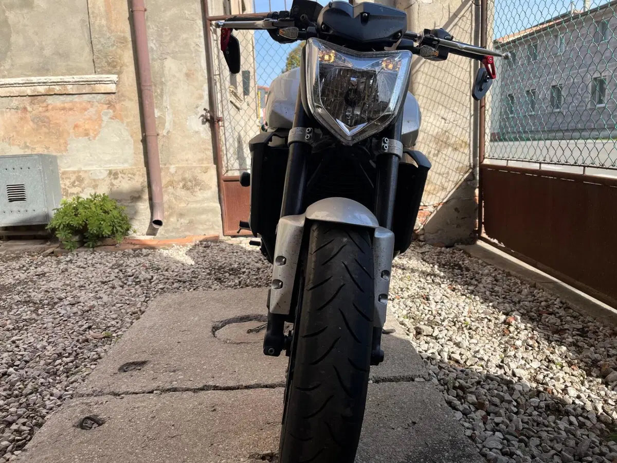 Yamaha FZ1 (2006 - 16) (3)
