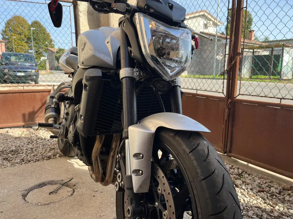 Yamaha FZ1 (2006 - 16) (9)