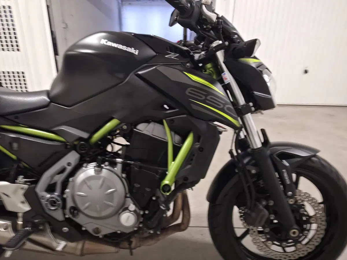 Kawasaki Z 650 (2017 - 19) (4)