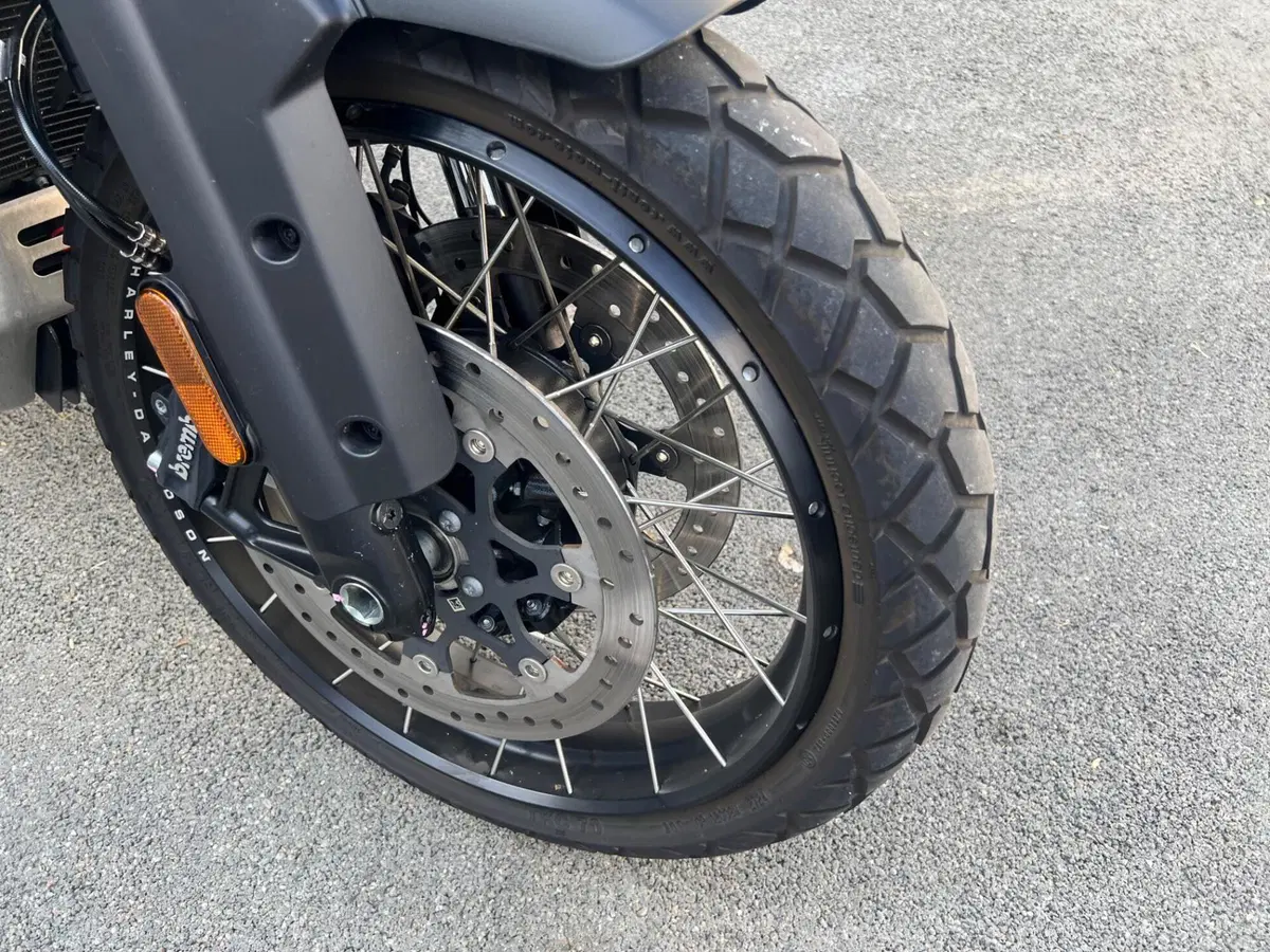 Harley-Davidson Pan America 1250 Special (2020 - 25) (20)