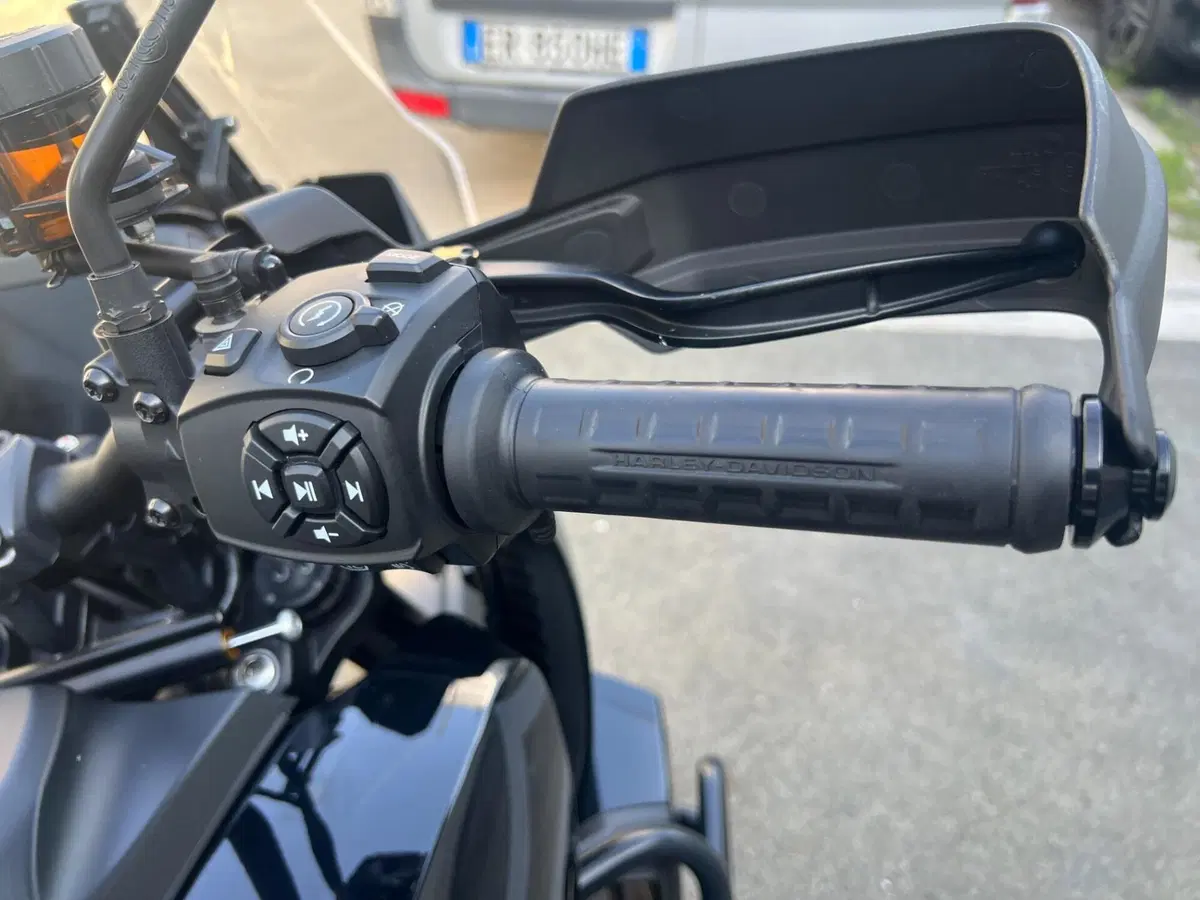 Harley-Davidson Pan America 1250 Special (2020 - 25) (11)