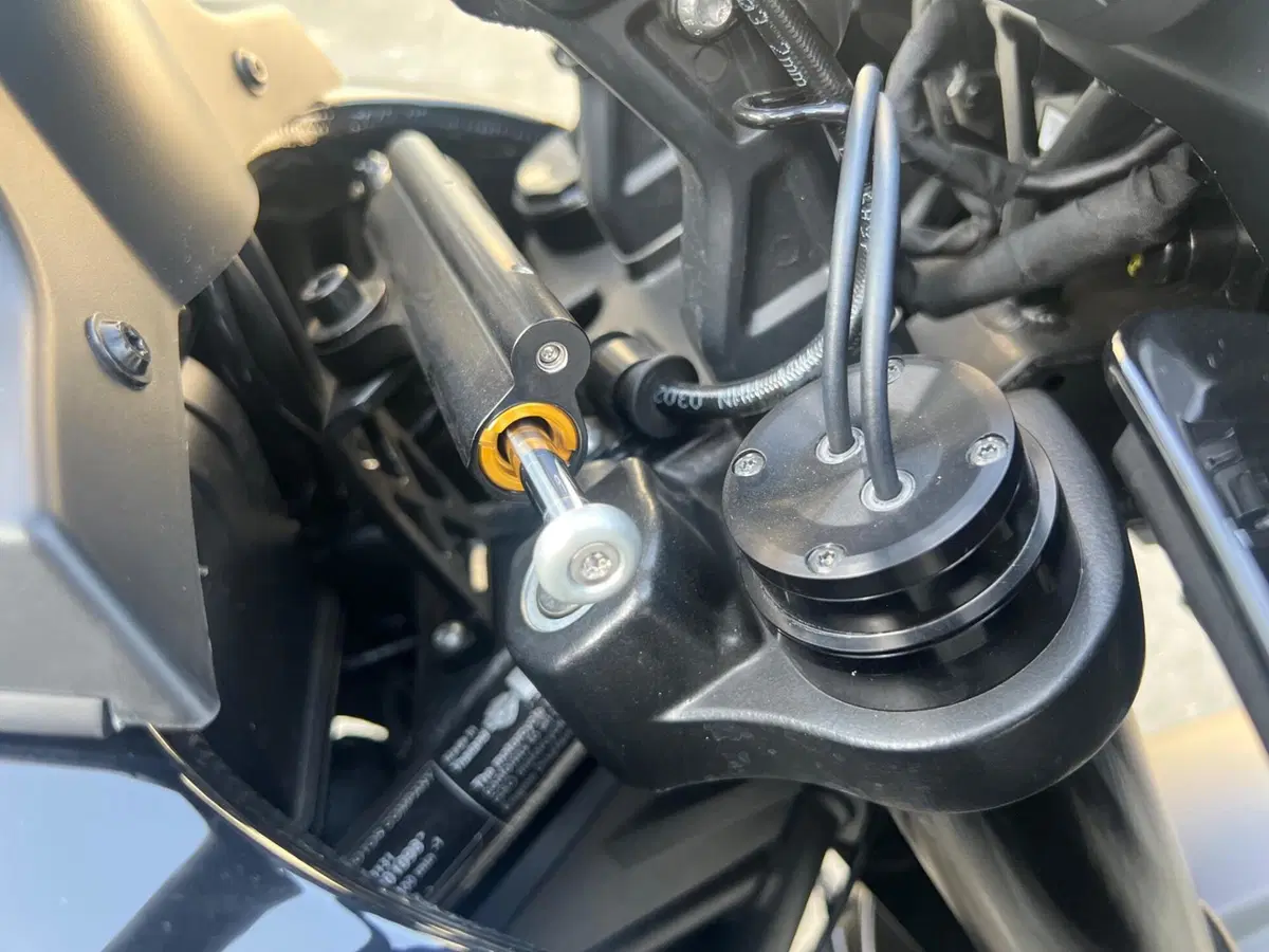 Harley-Davidson Pan America 1250 Special (2020 - 25) (13)