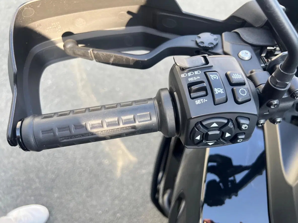 Harley-Davidson Pan America 1250 Special (2020 - 25) (10)