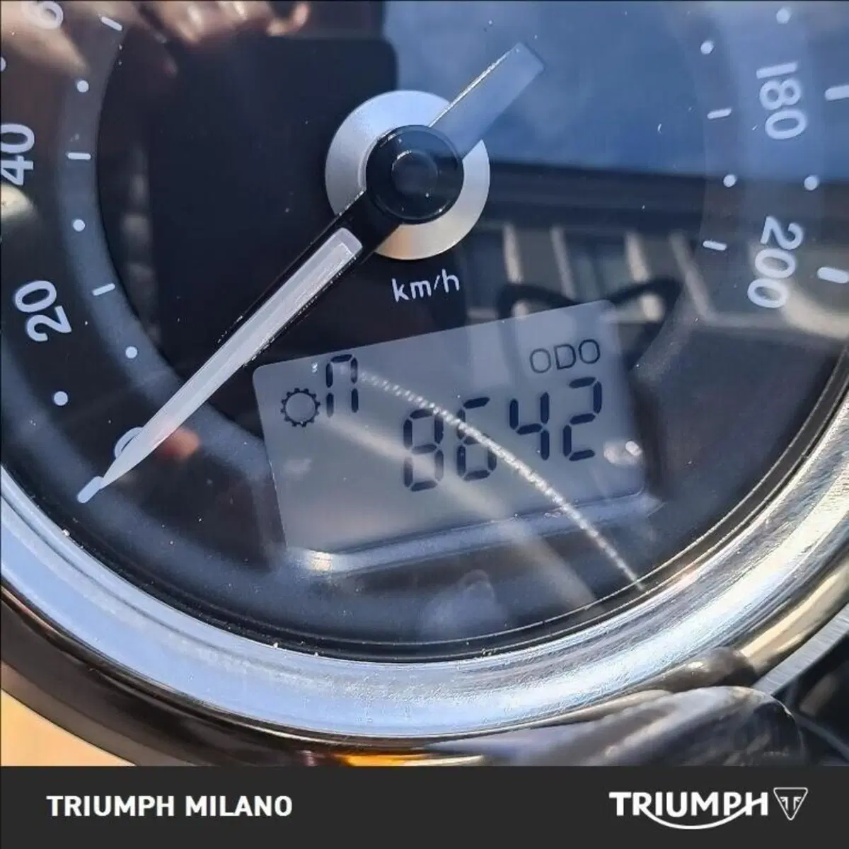 Triumph Bonneville T100 (2017 - 20) (8)