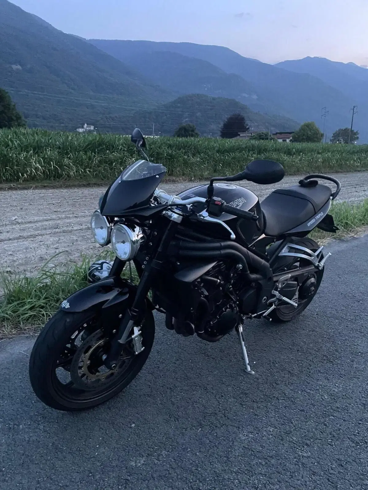 Triumph Speed Triple 1050 (2005 - 11)