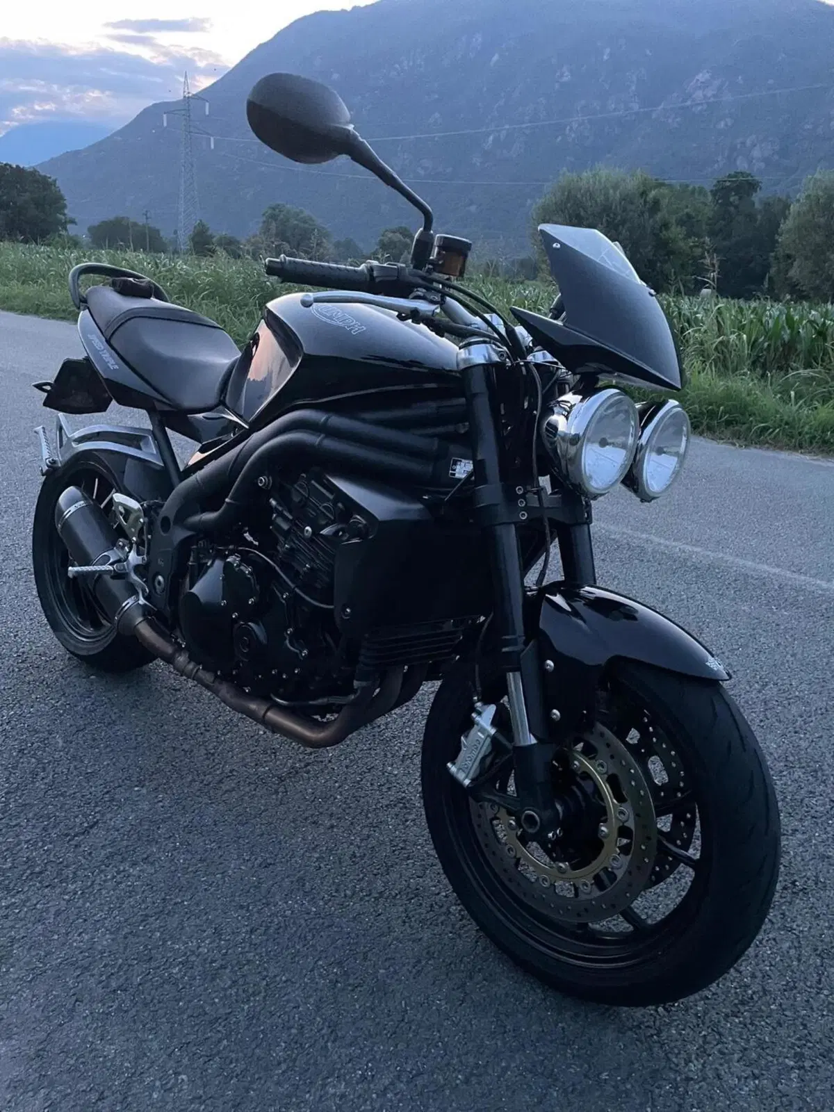 Triumph Speed Triple 1050 (2005 - 11) (2)