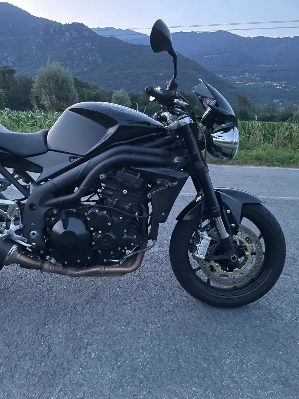 Triumph Speed Triple 1050 (2005 - 11) (3)