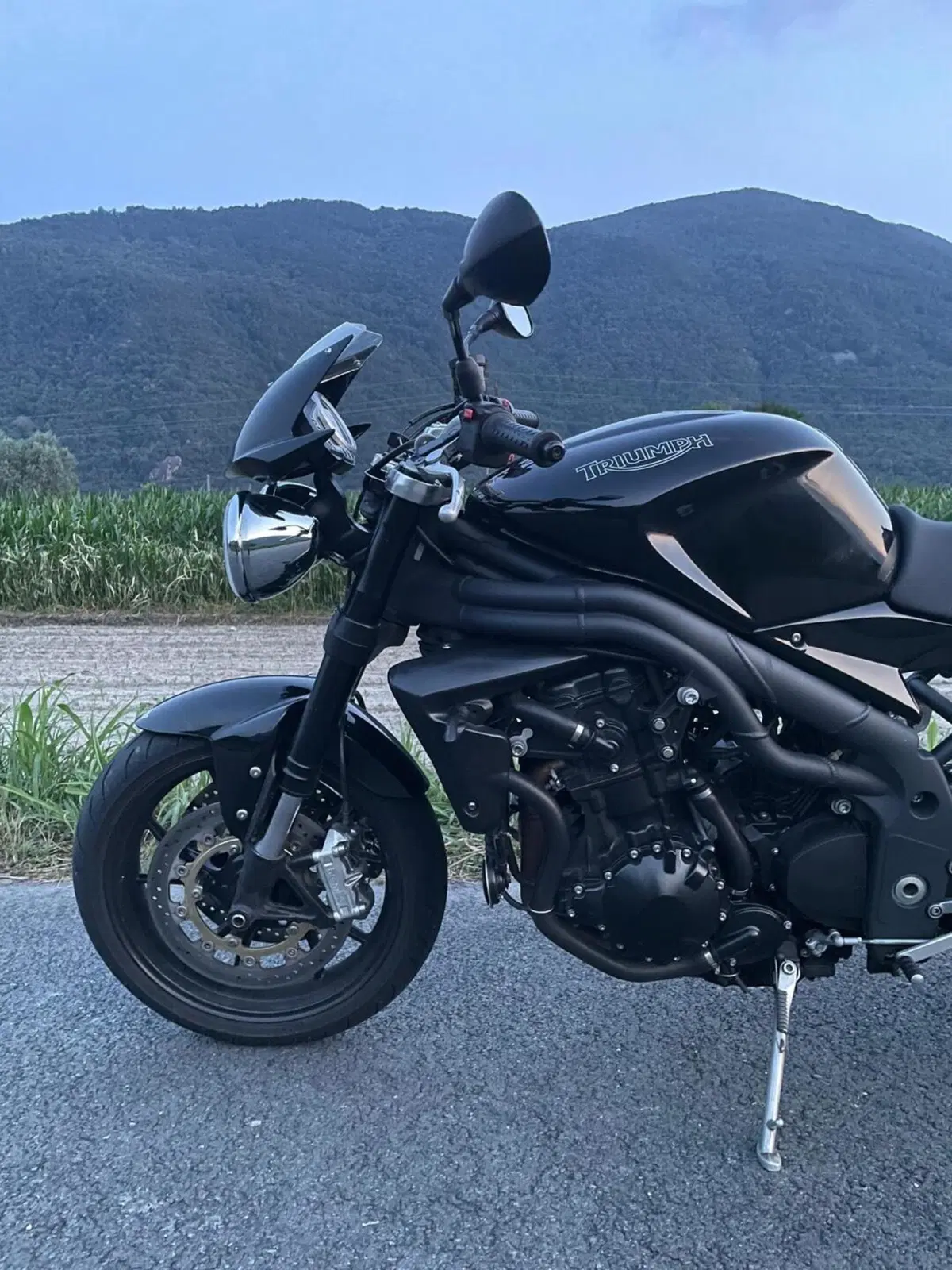 Triumph Speed Triple 1050 (2005 - 11) (4)