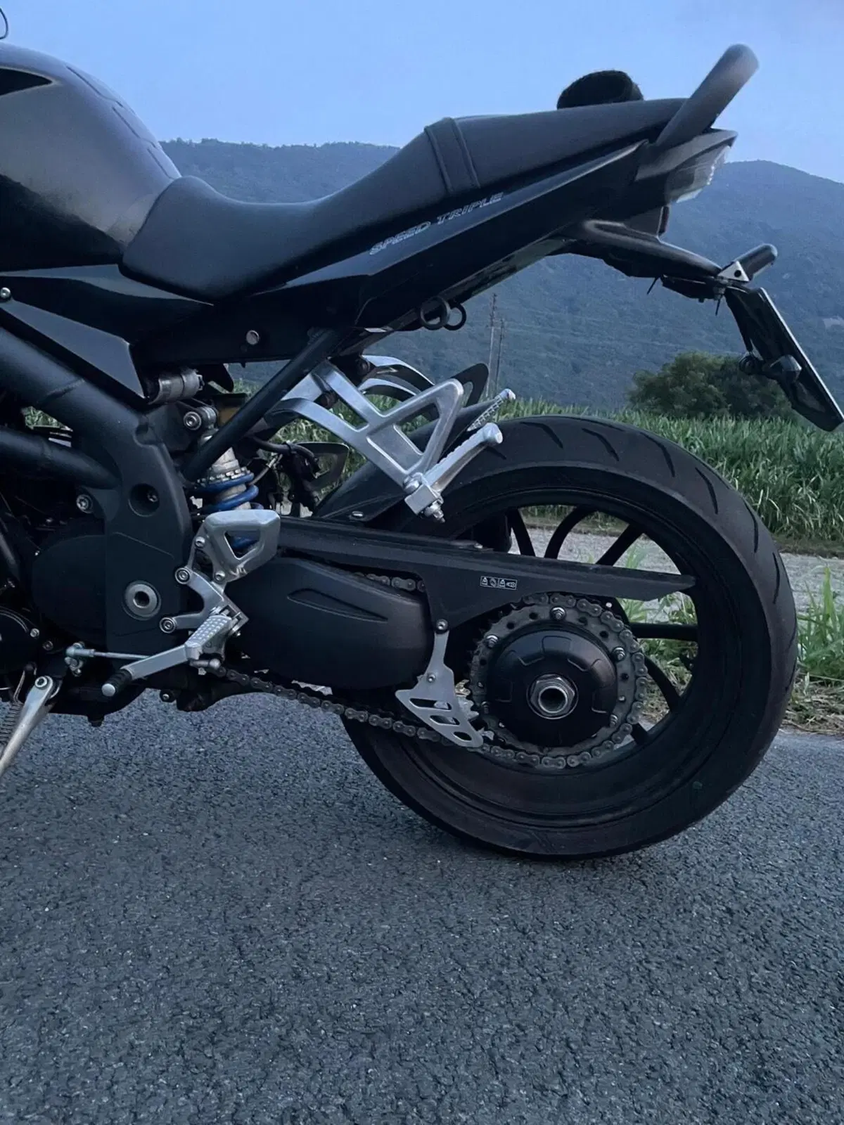 Triumph Speed Triple 1050 (2005 - 11) (5)