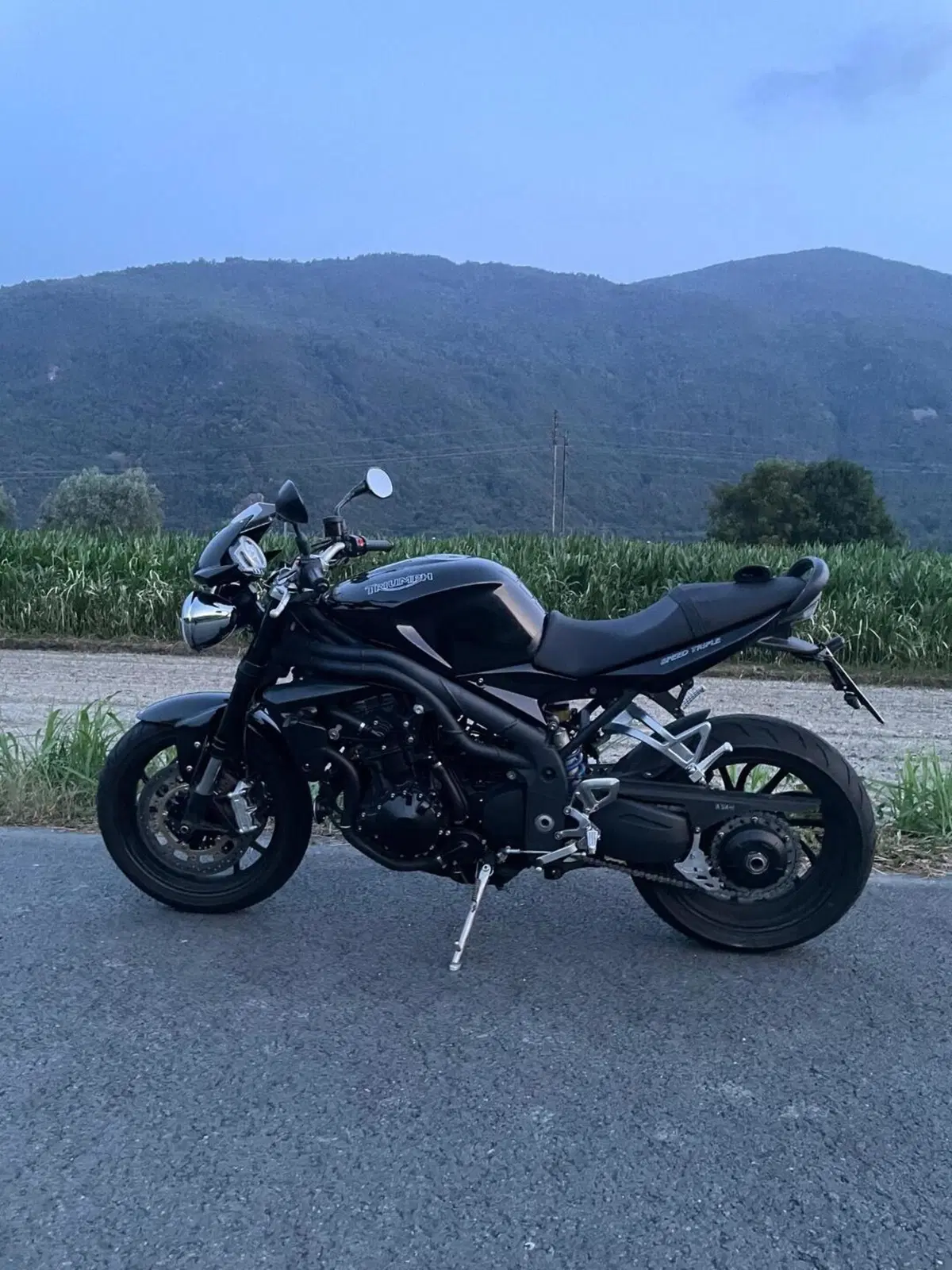 Triumph Speed Triple 1050 (2005 - 11) (7)