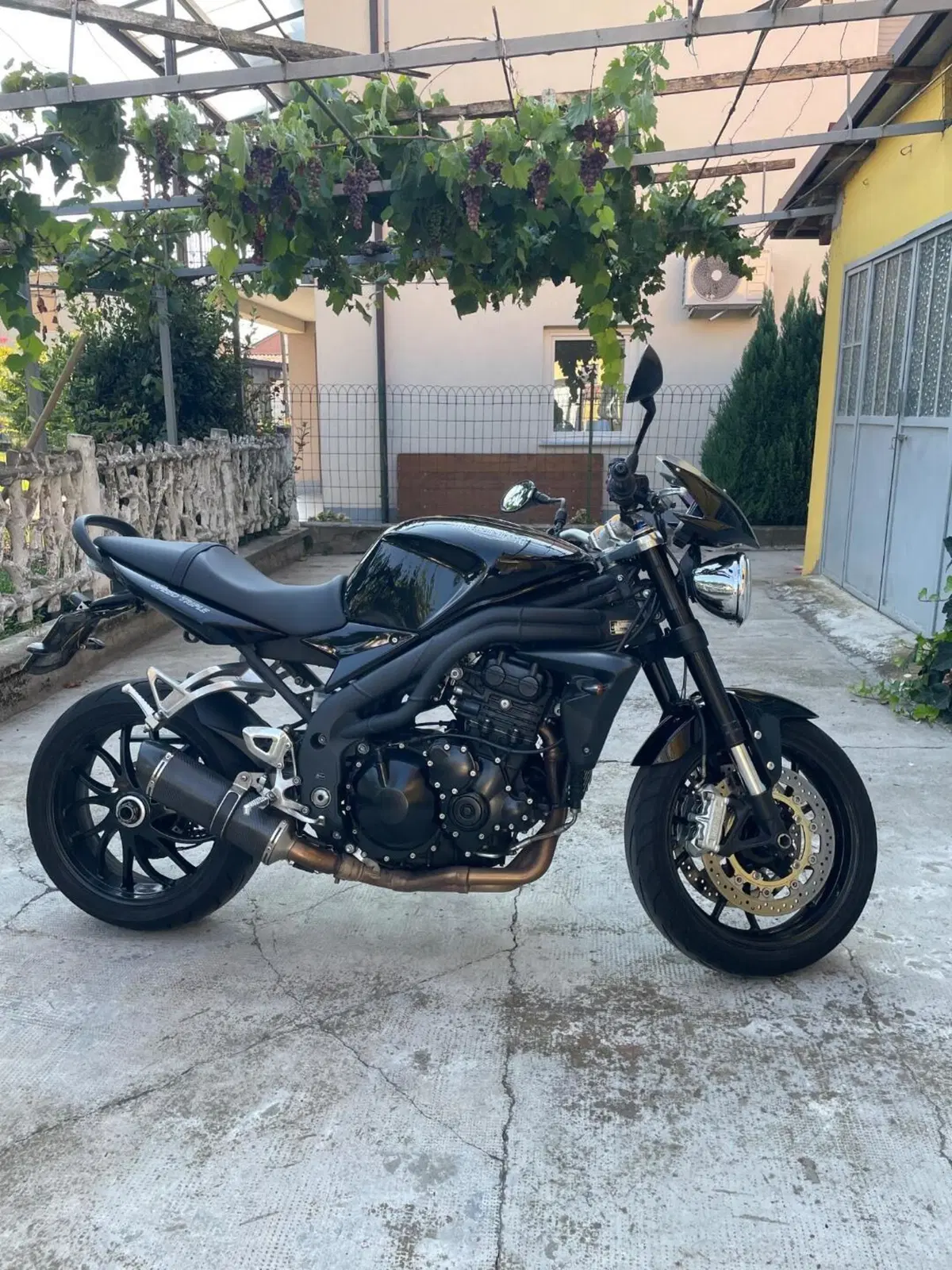 Triumph Speed Triple 1050 (2005 - 11) (8)