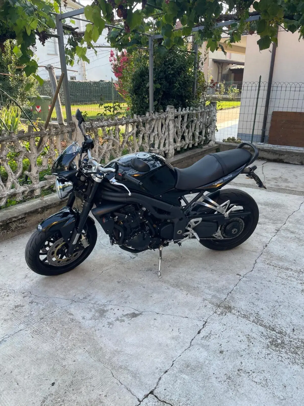 Triumph Speed Triple 1050 (2005 - 11) (9)