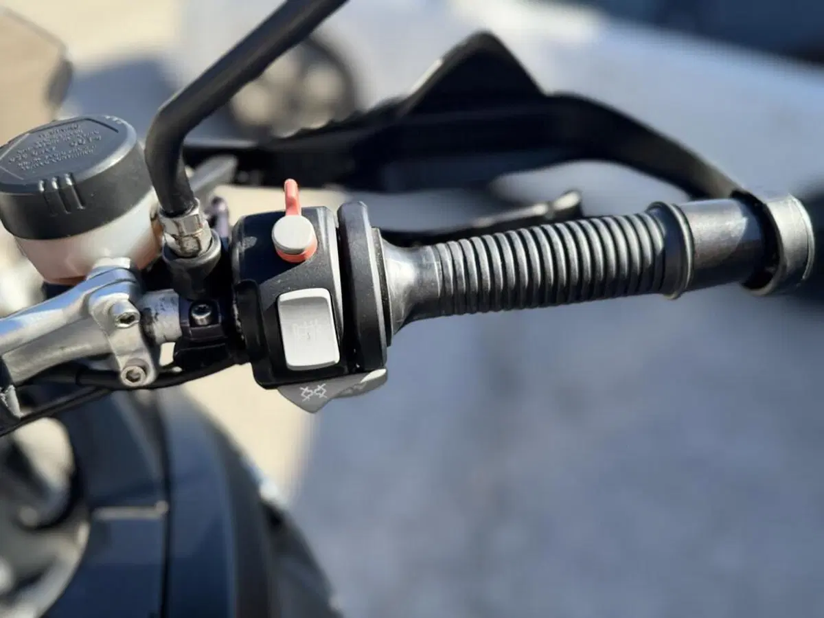 Bmw R 1200 GS (2004 - 07) (9)