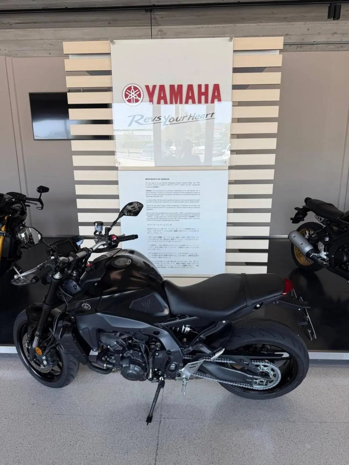 Yamaha MT-09 (2021 - 23) (2)