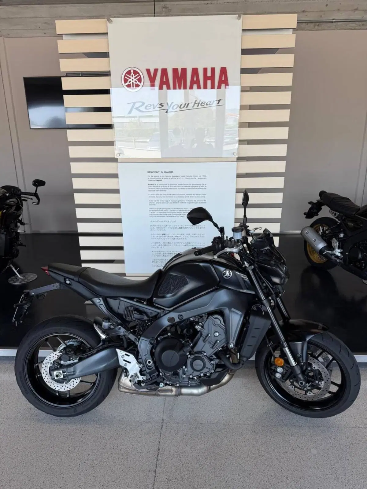 Yamaha MT-09 (2021 - 23)